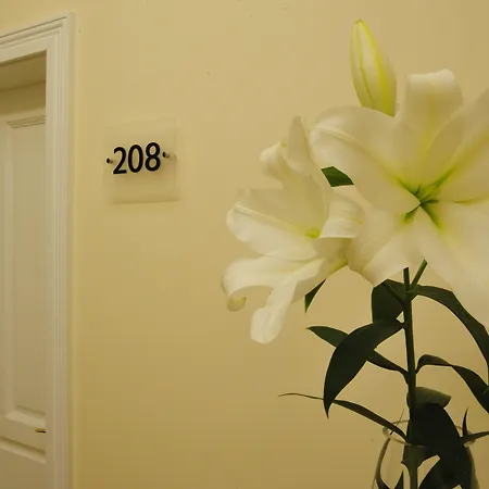 公寓 Kosmopolita *