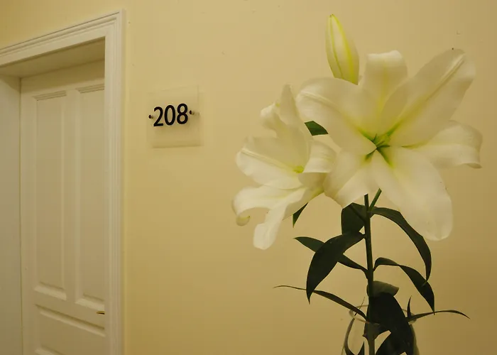 Lägenhet Kosmopolita *